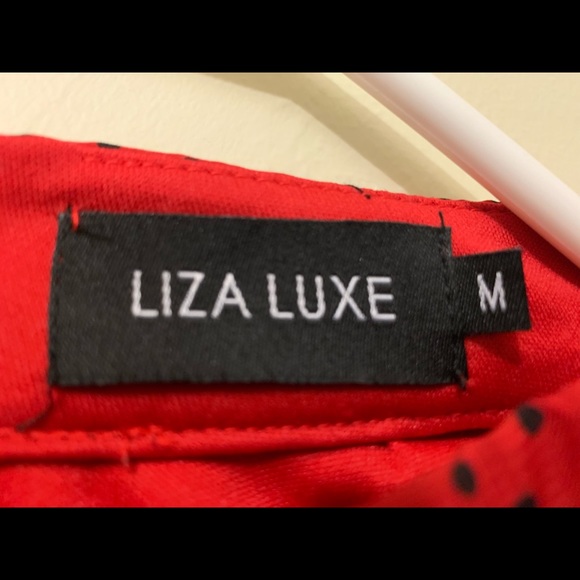 Liza Luxe dress from ModCloth - Picture 6 of 7